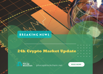 Thị trường 20/12: Không có biến động mạnh, Terra tiếp tục lập đỉnh mới