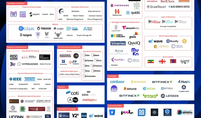 Tổng quan hệ sinh thái Cardano (phần 1)