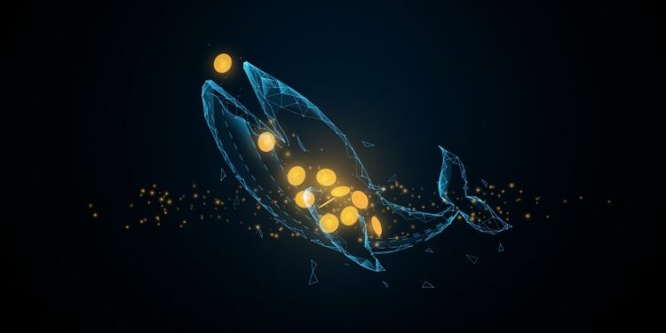 Hành động bất ngờ của Solend có thể tiếp tục làm hoen ố hình ảnh của DeFi