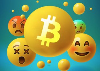 Người mới tiền điện tử: Kỳ vọng và thực tế