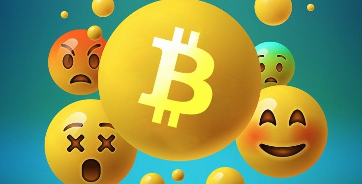 Người mới tiền điện tử: Kỳ vọng và thực tế