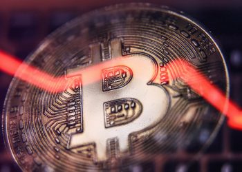 Cuộc suy thoái crypto chủ yếu tác động đến bộ phận thiểu số và giới trẻ