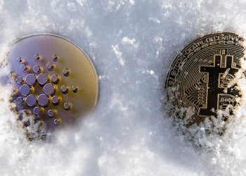 CEO Binance và kế hoạch tận dụng mùa đông crypto