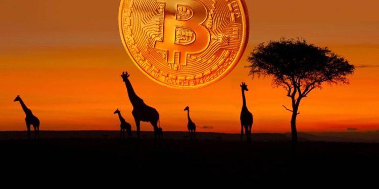 Hệ sinh thái Bitcoin ở Châu Phi