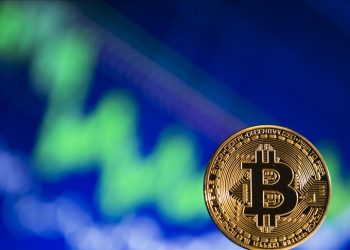 thị-trường-gấu-crypto