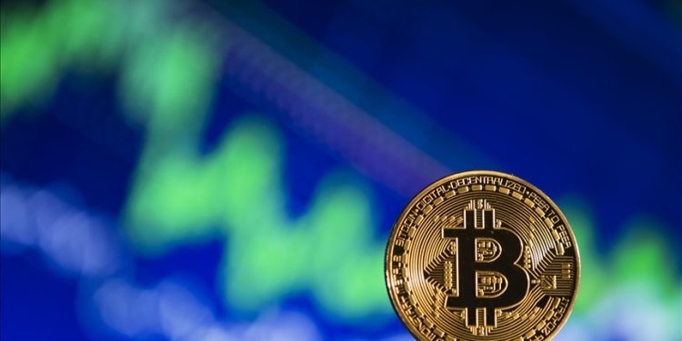 thị-trường-gấu-crypto