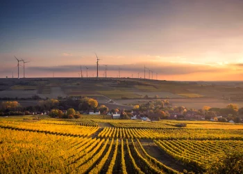 Top 4 mạng blockchain thân thiện với môi trường năm 2022