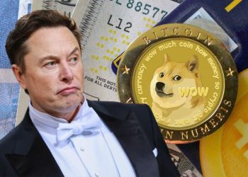 Elon Musk bác bỏ sở hữu ví Dogecoin để pump-dump