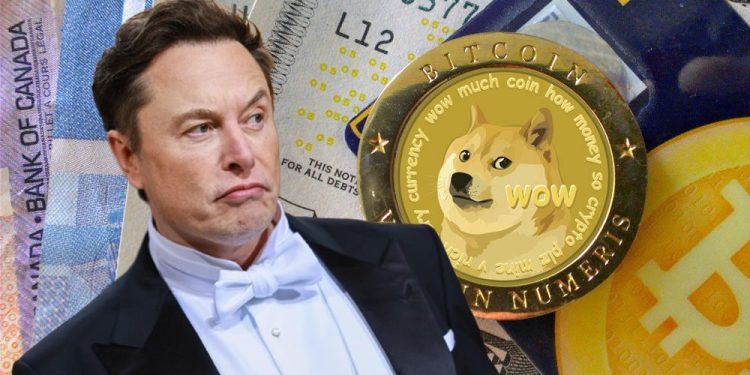 Elon Musk bác bỏ sở hữu ví Dogecoin để pump-dump