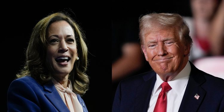 Harris và Trump cân bằng tỷ lệ cược trong cuộc bầu cử 2024 