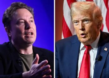 Trump cân nhắc đưa Elon Musk vào nội các