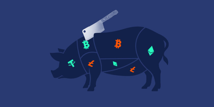 Tìm hiểu về lừa đảo “pig butchering” và cách phòng tránh