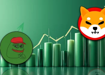 Memecoin thống trị sự chú ý của nhà đầu tư tiền mã hóa năm 2024