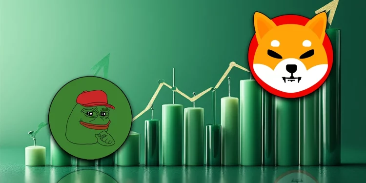 Memecoin thống trị sự chú ý của nhà đầu tư tiền mã hóa năm 2024