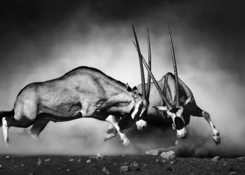 SEC mở tọa đàm tiền mã hóa: Tranh luận nảy lửa về quy định