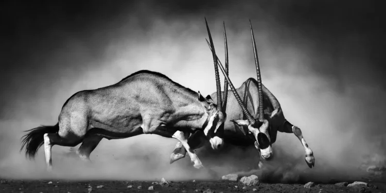 SEC mở tọa đàm tiền mã hóa: Tranh luận nảy lửa về quy định