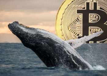 CryptoQuant: Áp lực bán từ thợ đào đè nặng lên giá Bitcoin