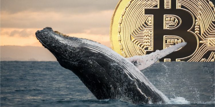 CryptoQuant: Áp lực bán từ thợ đào đè nặng lên giá Bitcoin