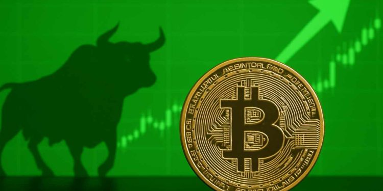 Làn sóng tổ chức hóa Bitcoin: Hơn 4,2 triệu BTC có thể được tích lũy vào năm 2026