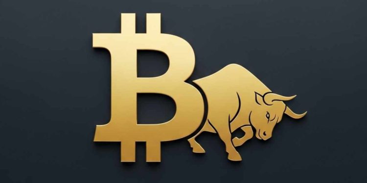 CEO Bitwise: Bitcoin sẽ vào “vùng không bán” tại 130.000-150.000 USD