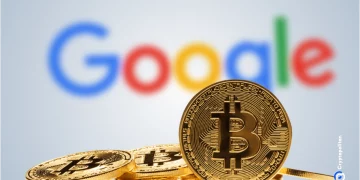 Lượng tìm kiếm tài sản mã hóa toàn cầu chạm đáy khi vốn hóa thị trường giảm 43%