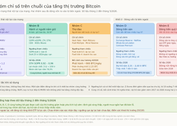 CHỈ SỐ ONCHAIN TRONG GIAO DỊCH ĐẦU TƯ TÀI SẢN MÃ HOÁ
