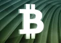 Bitcoin vượt 75.500 USD, giới chuyên gia cảnh báo đà tăng “quá sớm”